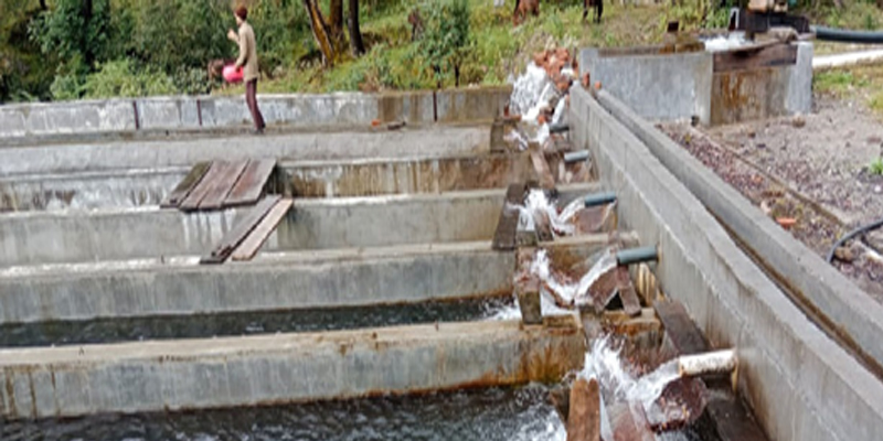 Uttarakhand State Cooperative Department