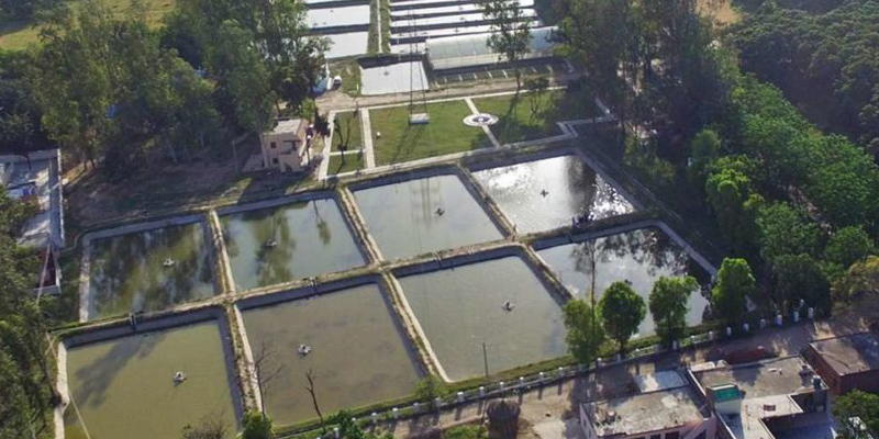 Cooperative Federation of uttarakhand